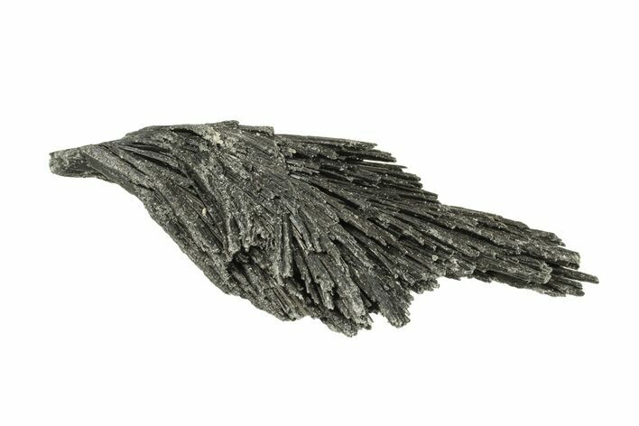 Intricate Black Kyanite Crystal Fan - Brazil #268587